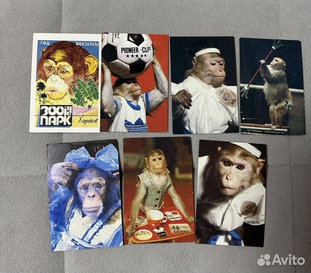 Карманные календарики СССР, природа и животные