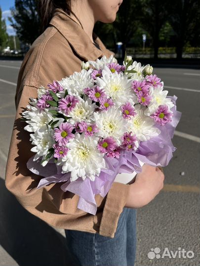 Цветы хризантемы сантини