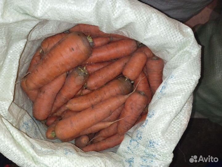 Картофель, морковь