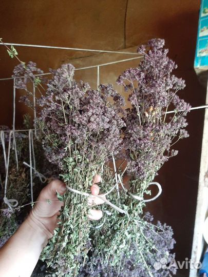 Душица и зверобой