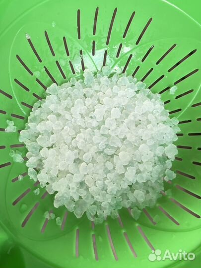 Индийский морской рис