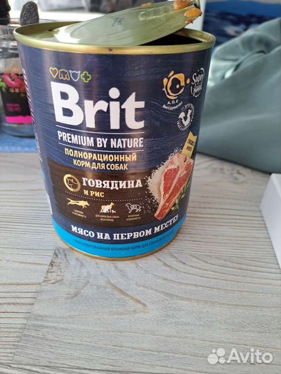 Сухой корм для собак средних пород