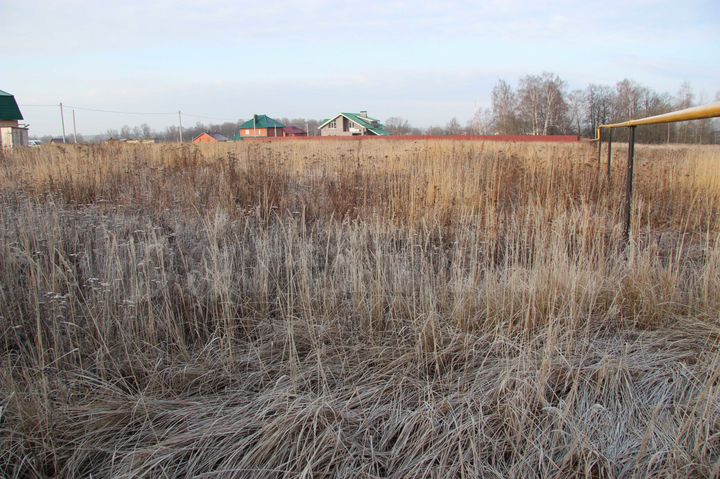 Участок 15 сот. (СНТ, ДНП)