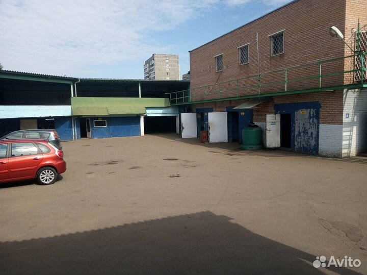 Автоэлектрик диагност