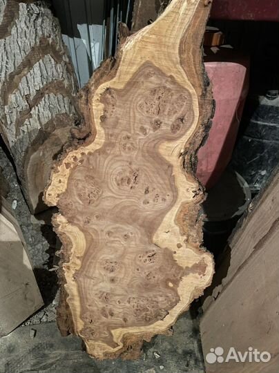 Каповый слэб, спил, кап карагач