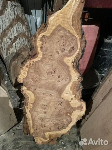 Каповый слэб, спил, кап карагач