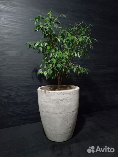 Вазоны, Горшки, Кашпо под заказ из бетона