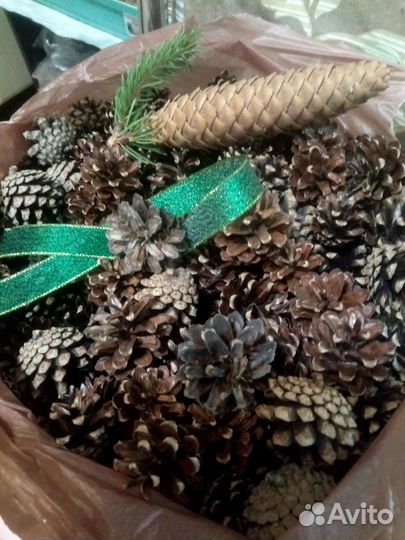 Шишки еловые и сосновые,для поделок