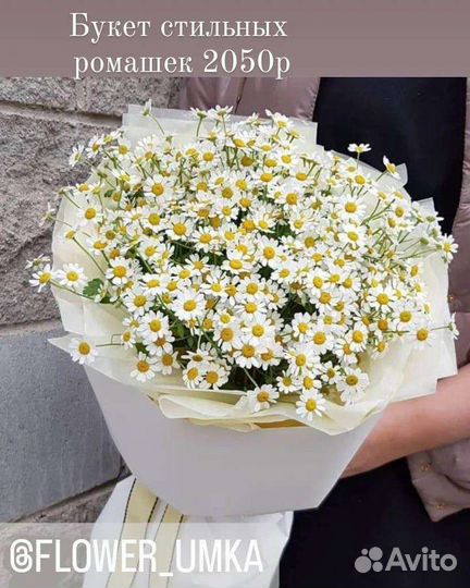 Букет Ромашек Роз Цветы Доставка Сочи