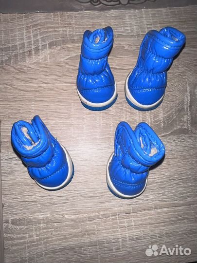 Обувь для собак