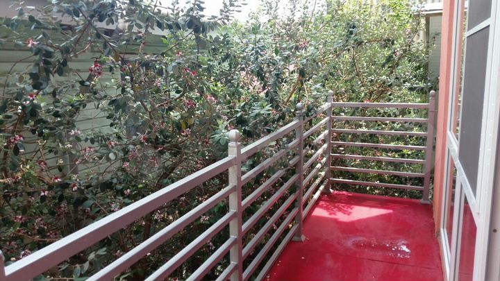 Комната 37 м² в 1-к., 2/3 эт.