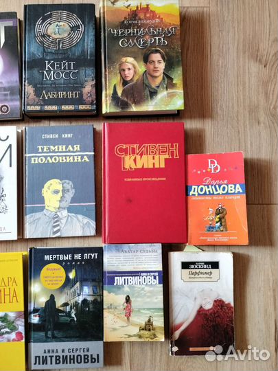Книги: Кинг, Рой, Мосс, Акунин, Литвиновы