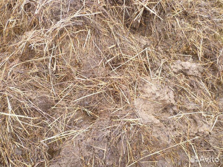 Продам навоз коровий