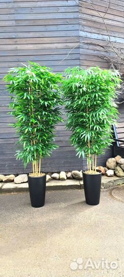 Искусственный Бамбук