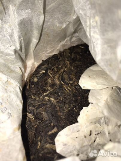 Шен Пуэр,Шу Пуэр,Пуэр