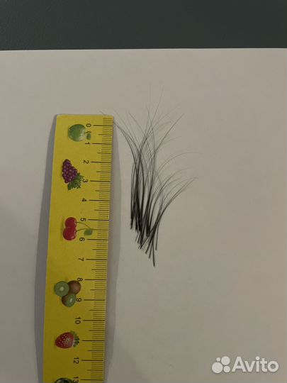 Кошачьи усы