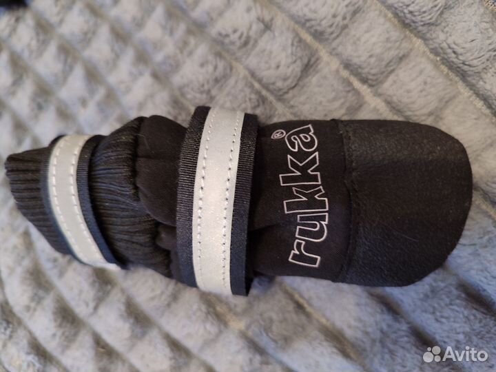 Зимняя обувь для маленькой собачки