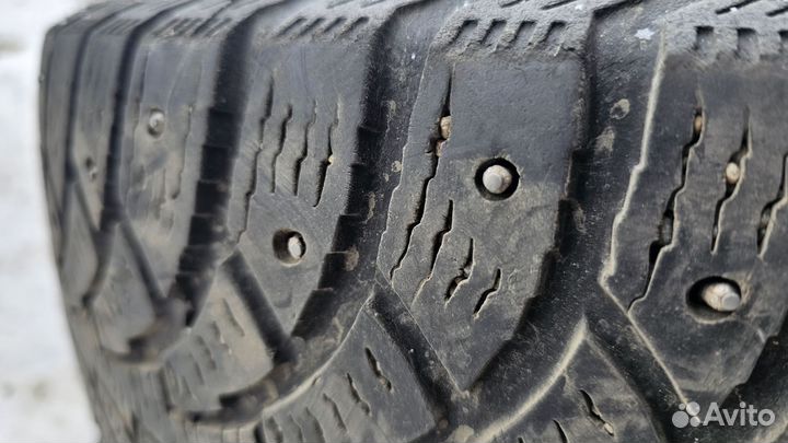 Profil Alpiner 205/55 R16 91H