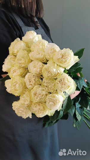Цветы Розы