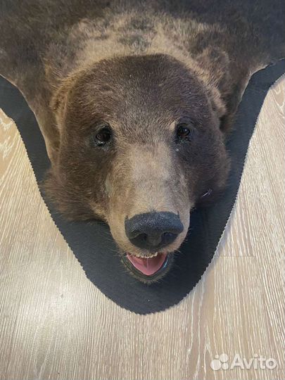 Шкура медведя имитация