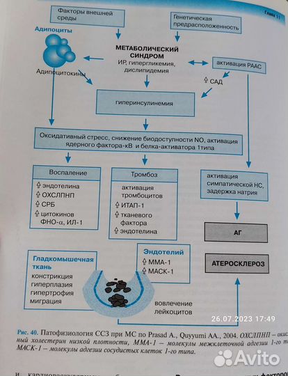 Метаболический синдром, книга