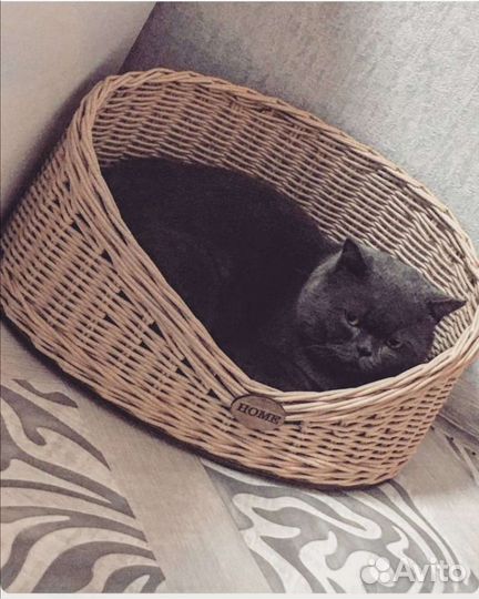 Лежак для кота или маленькой собачки