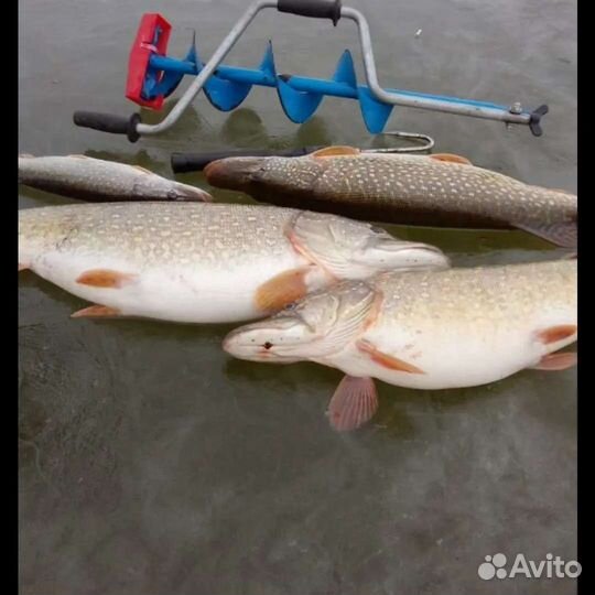 Рыбалка и отдых