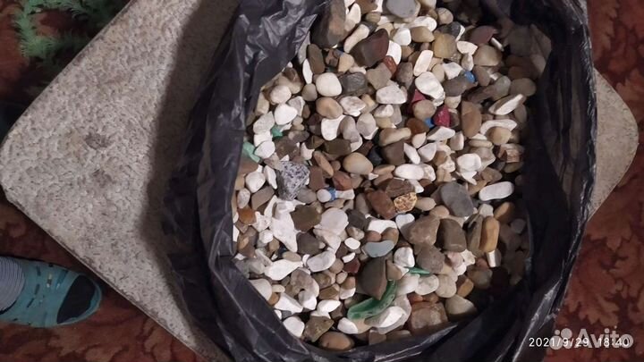 Аквариумистика