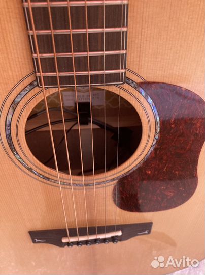 Гитара cort gold 06 трансакустическая