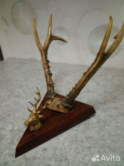 Рога косули