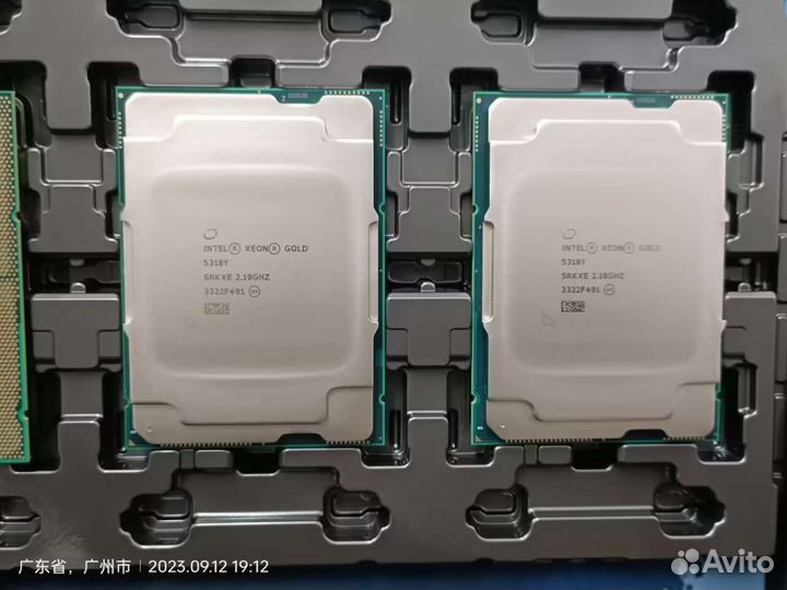 Xeon Gold