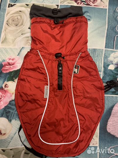 Одежда для собаки средних парод