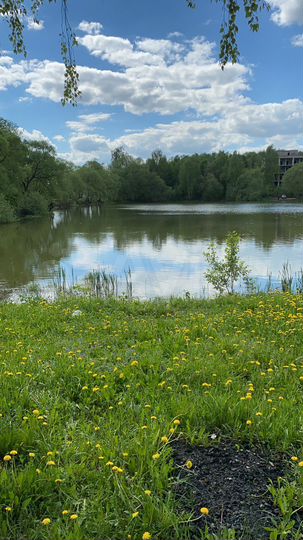 Комната 21 м² в 3-к., 2/3 эт.