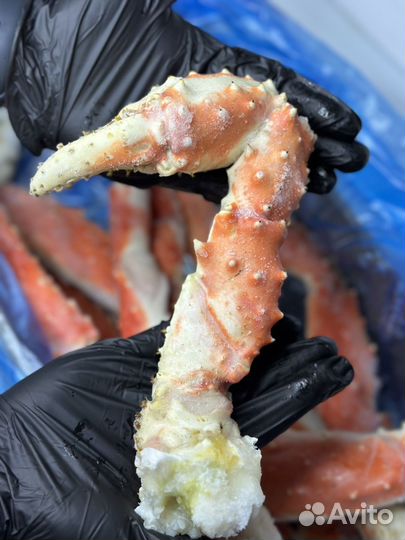 Клешни камчатского краба L3-L4