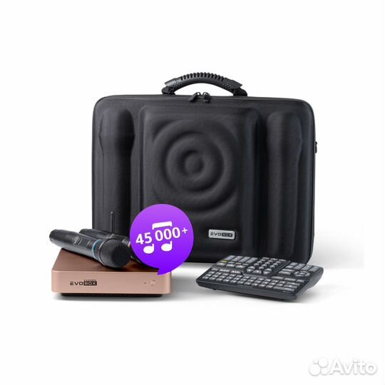 Караоке Evobox Plus Gold