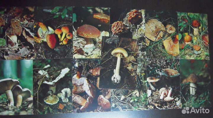 Набор открыток 