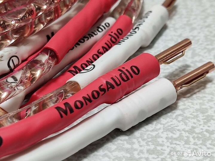 Акустический Monosaudio VS904 3 м б-лопатка