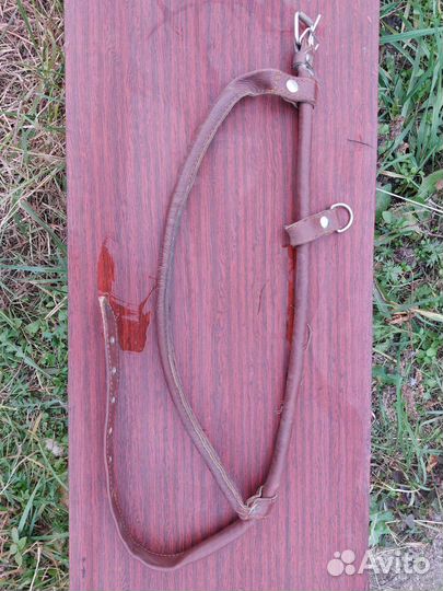 Шлейка для собак