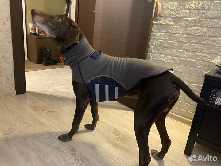 Продам теплую накидку для собаки