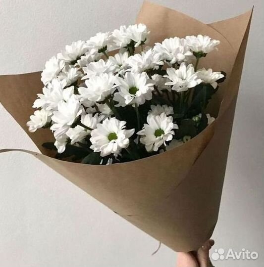 Хризантема Доставка цветов Букеты