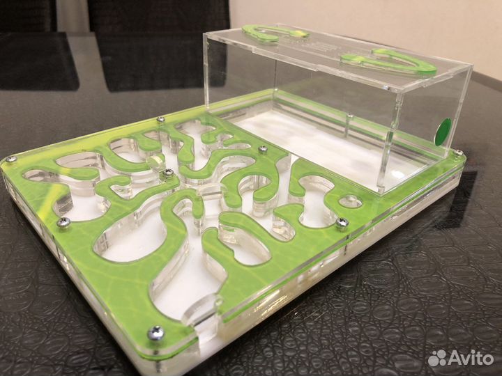 Муравьиная ферма