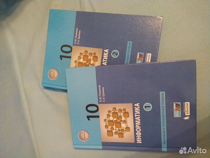 Информатика 10 класс углубленка