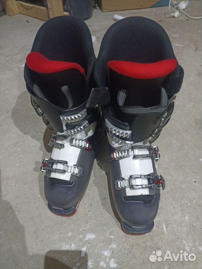 Горные лыжи