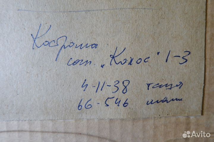 Картина акварель Ю. И. Конышев 24 x 18 см