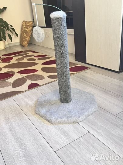 Когтеточка