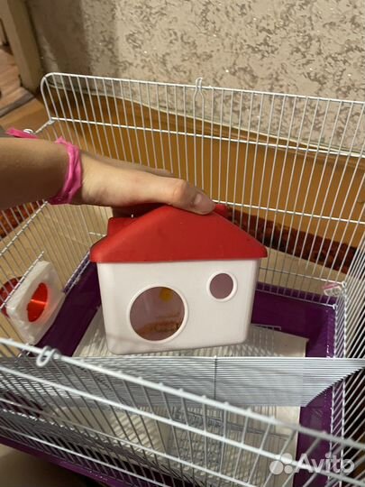 Клетка для крысы