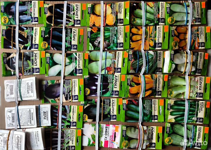 Семена Алтая в Троицке