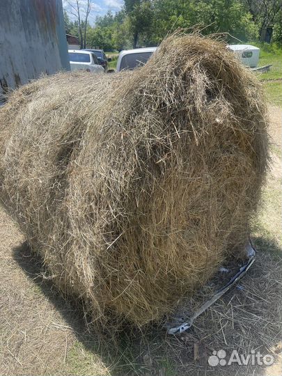 Сено в тюках рулон 300кг