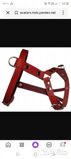 Шлейка для собаки