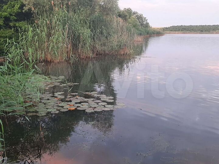 Земля кропоткина. Село Карпово Крепенское. Водоемы Луганской области. Разлив Битюга.